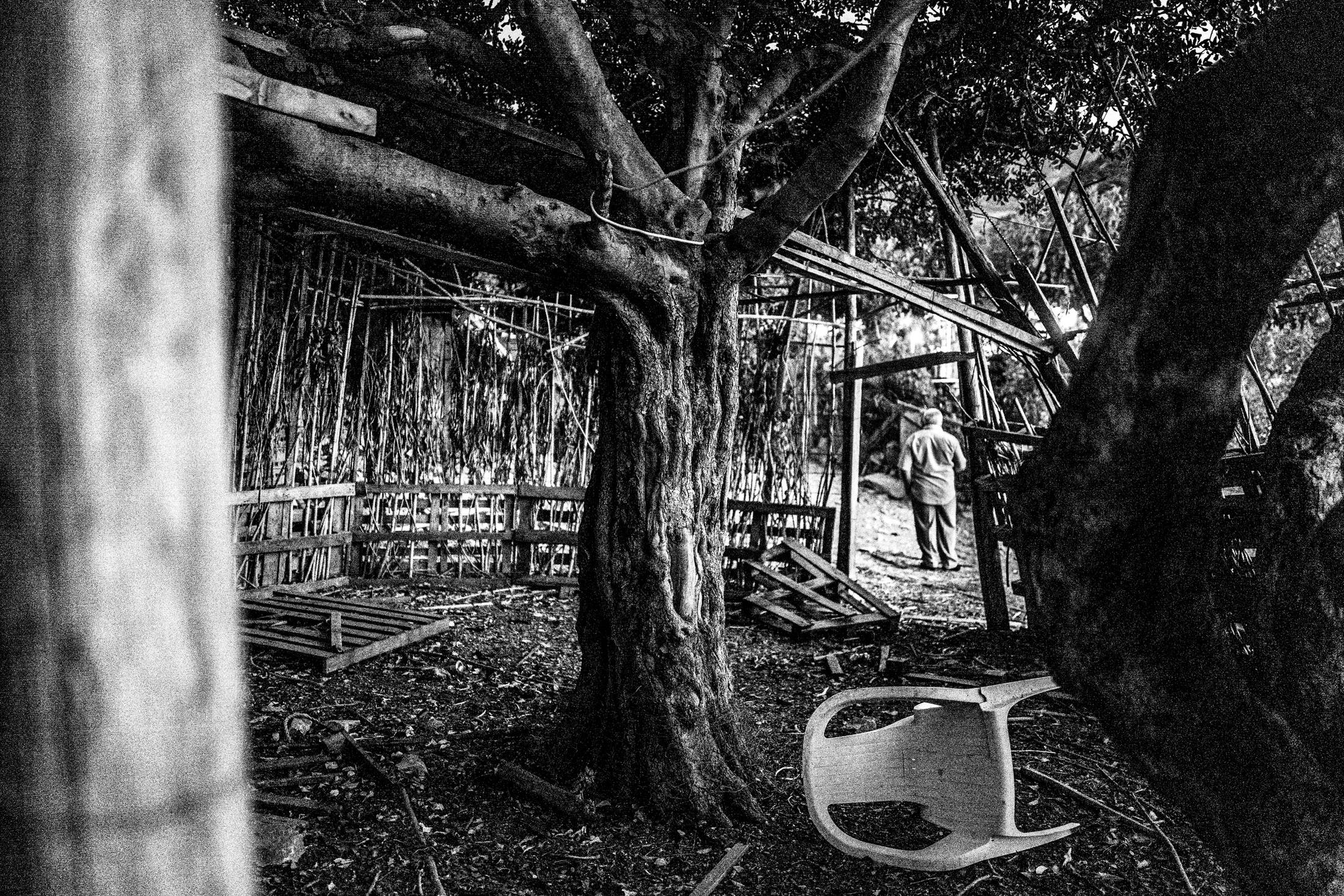 The interior framework of a temporary hut at Panagia Charakiani.