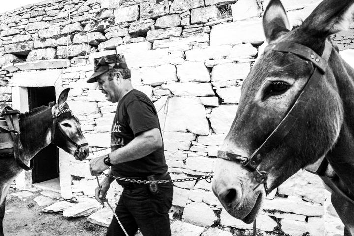 Organisers unloading supplies from donkeys in the monastery courtyard.