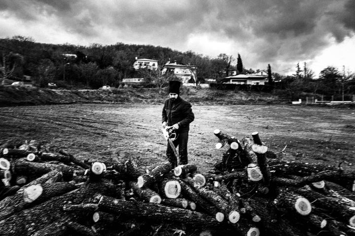 A man chopping wood for the bonfire at Sotira, using a chainsaw, near Florina, Macedonia
