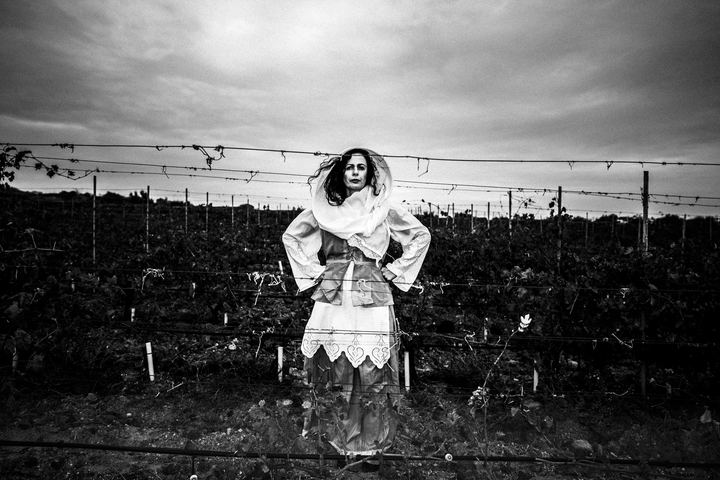 Santorini vineyard photographed for the tradition of Saint Averky.