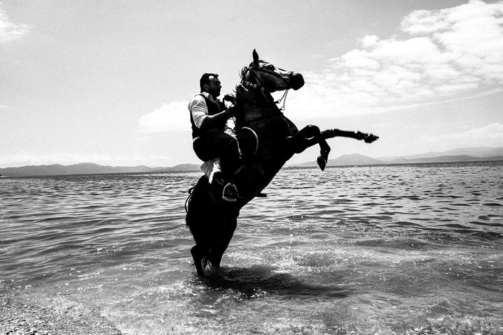 Horses get into the sea at Kala Nera