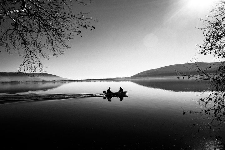 Black and white photograph of a tree by the lake in winter in Kastoria.