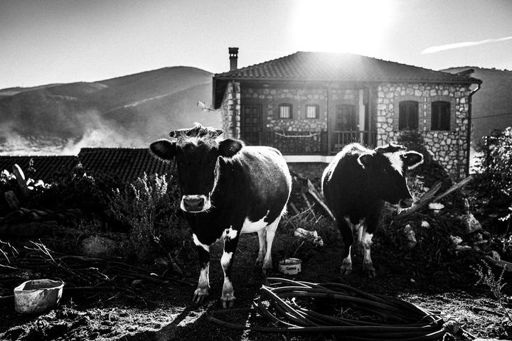 Black and white photograph from a village in the Prespes area during winter.