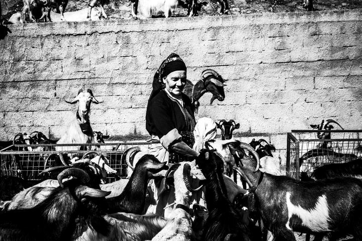 Black and white photograph of Sofia feeding goats at a family farm near Olympos, Karpathos.
