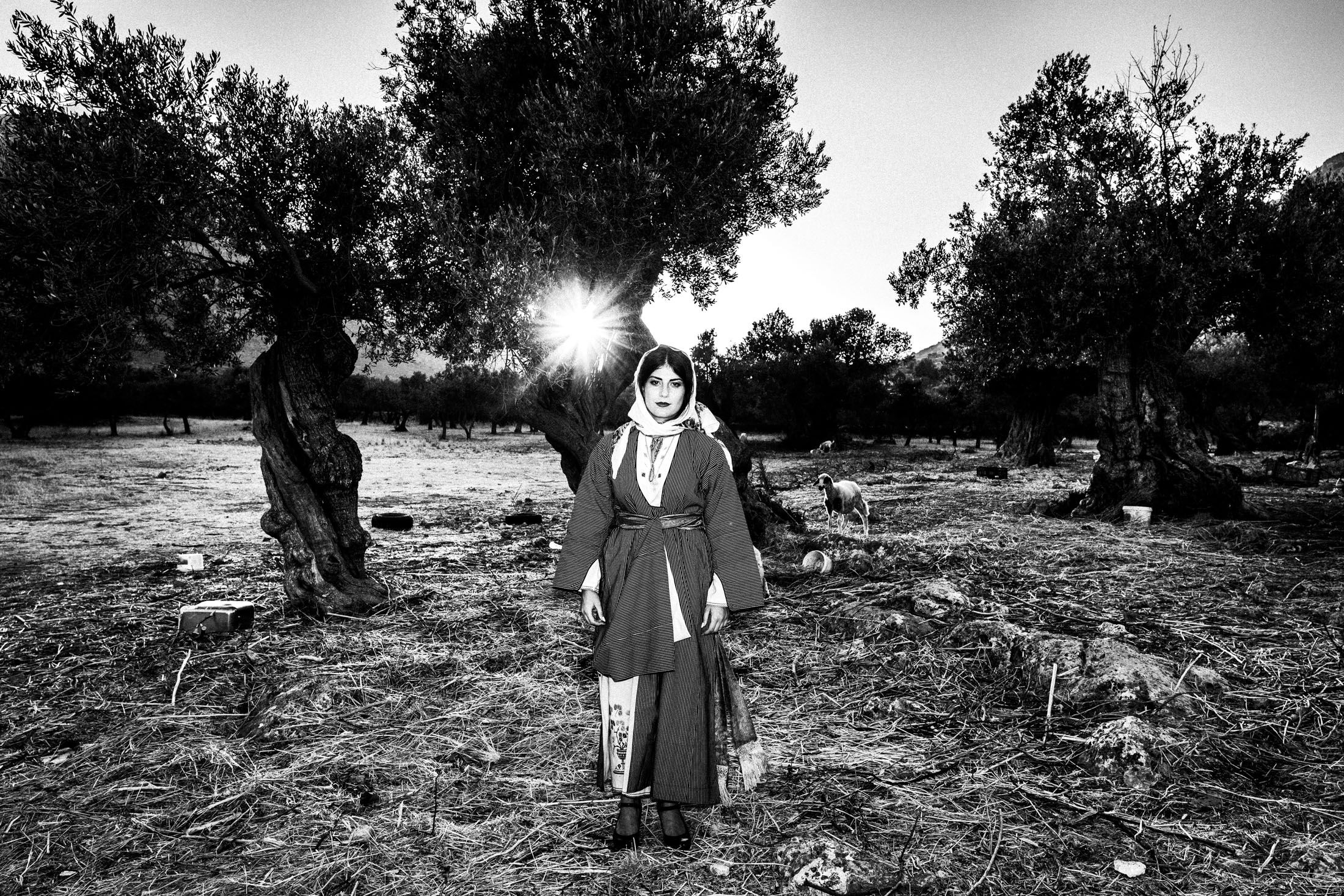 A woman dressed in the traditional costume of Kalymnos, stading in a field among olive trees.